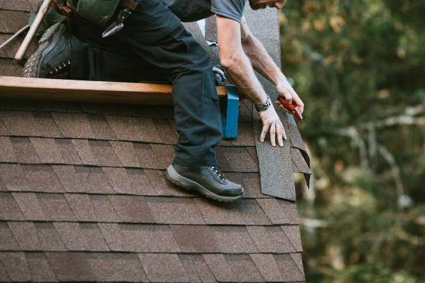 Best Roof Gutter Cleaning  in Leechburg, PA